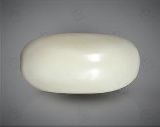Natural White Coral ( Safed Moonga) Certified  7.54 CTS. ( 91523 )
